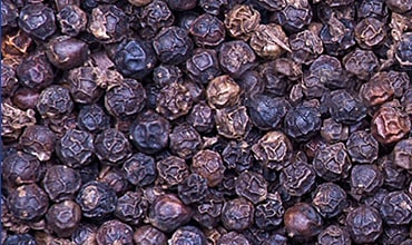 Health Genesis Corporation Raw Materials