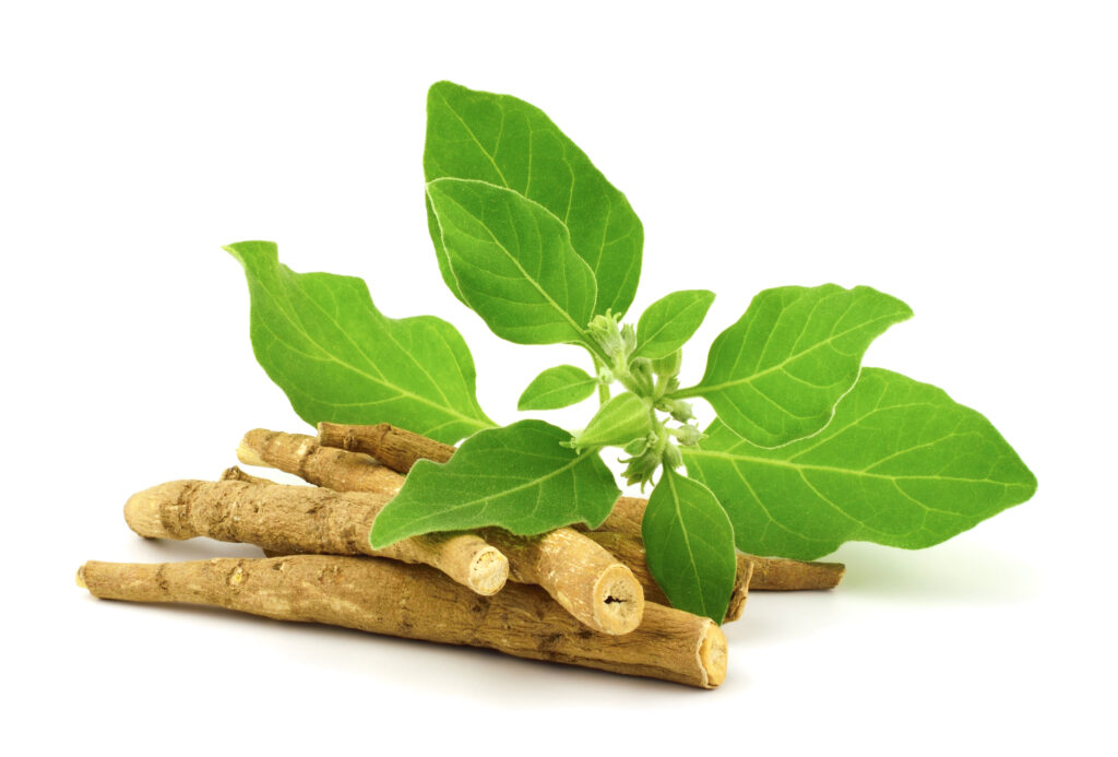 Ashwagandha dry root adaptogenic herb for stress relief supplements