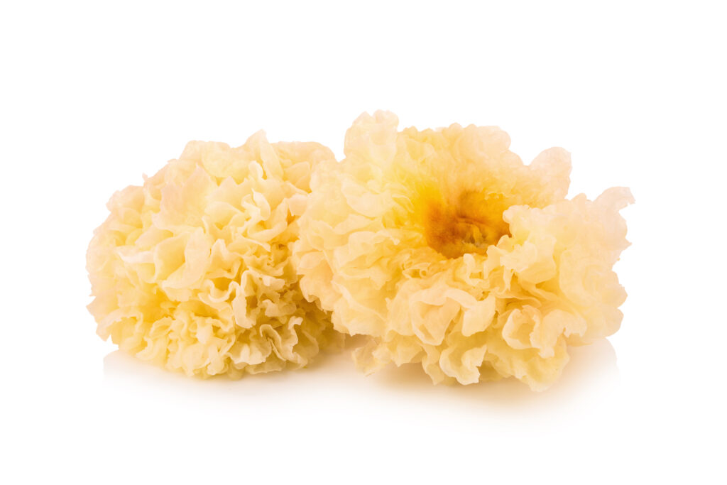 Tremella mushroom close-up showing natural texture for supplement extraction
