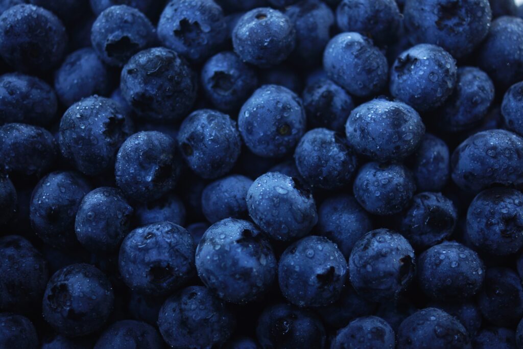 Postbiotic blueberries for gut health and digestive support supplements