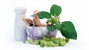 Ashwagandha dry root medicinal herb fresh supplement